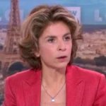Anne Nivat salaire